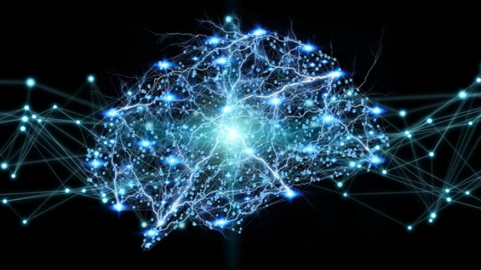脳の中の身体地図と神経可塑性